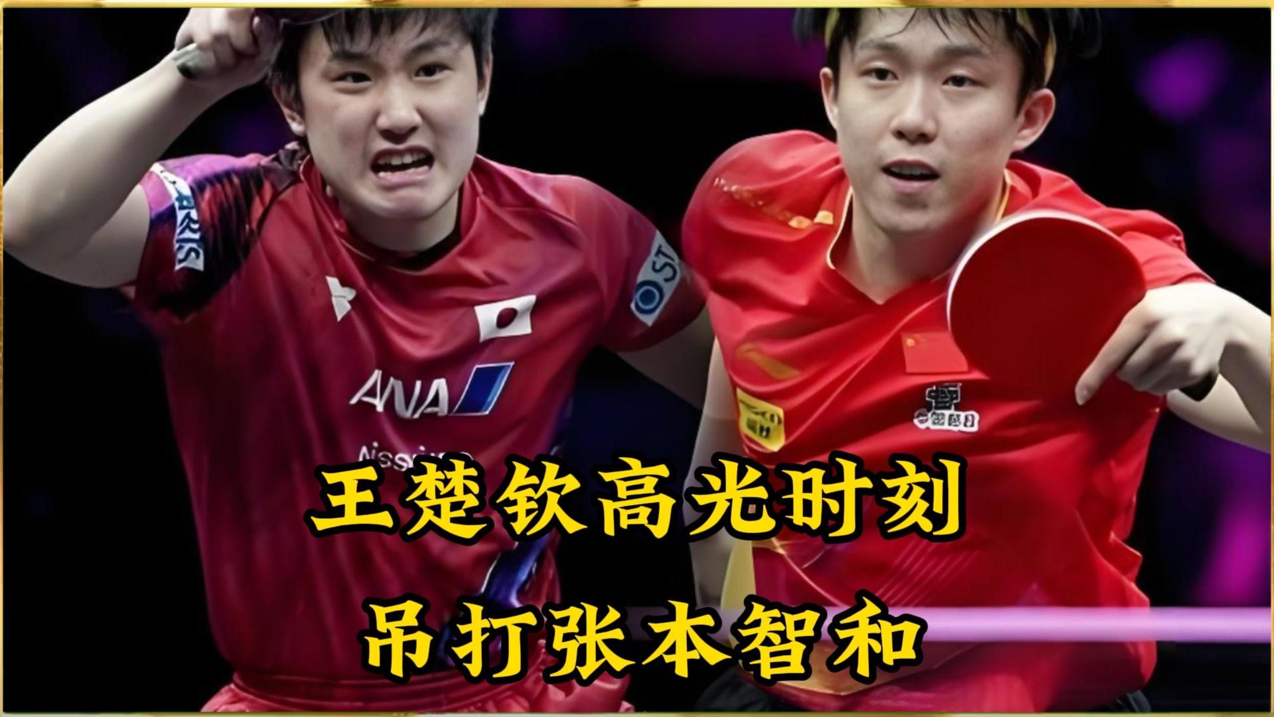 比利时乒乓球队碾压日本乒乓球队，张本智和高光表现