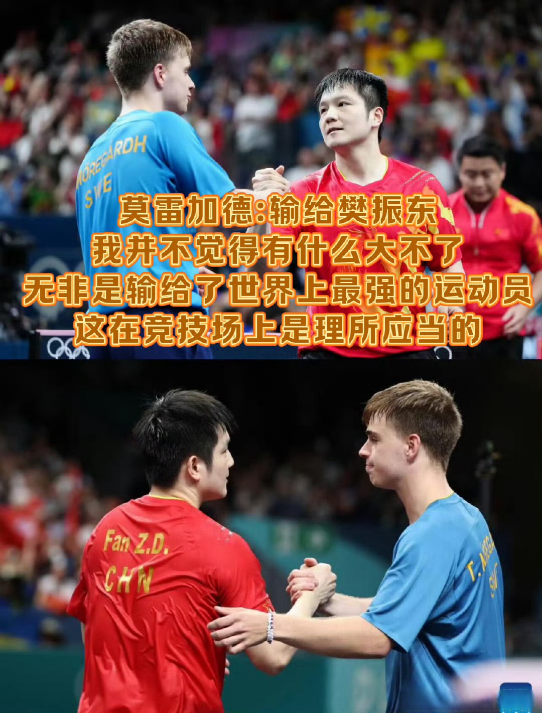 波兰队险胜日本队，樊振东扛起全队