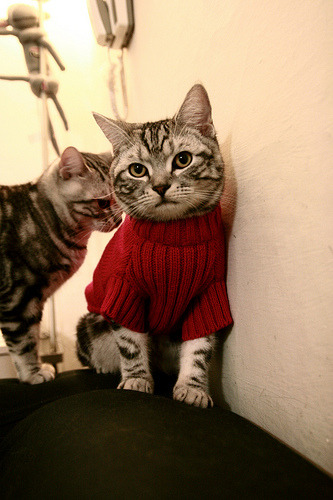 一剑封喉，当绝杀、逆转与神迹照亮NBA的历史夜空