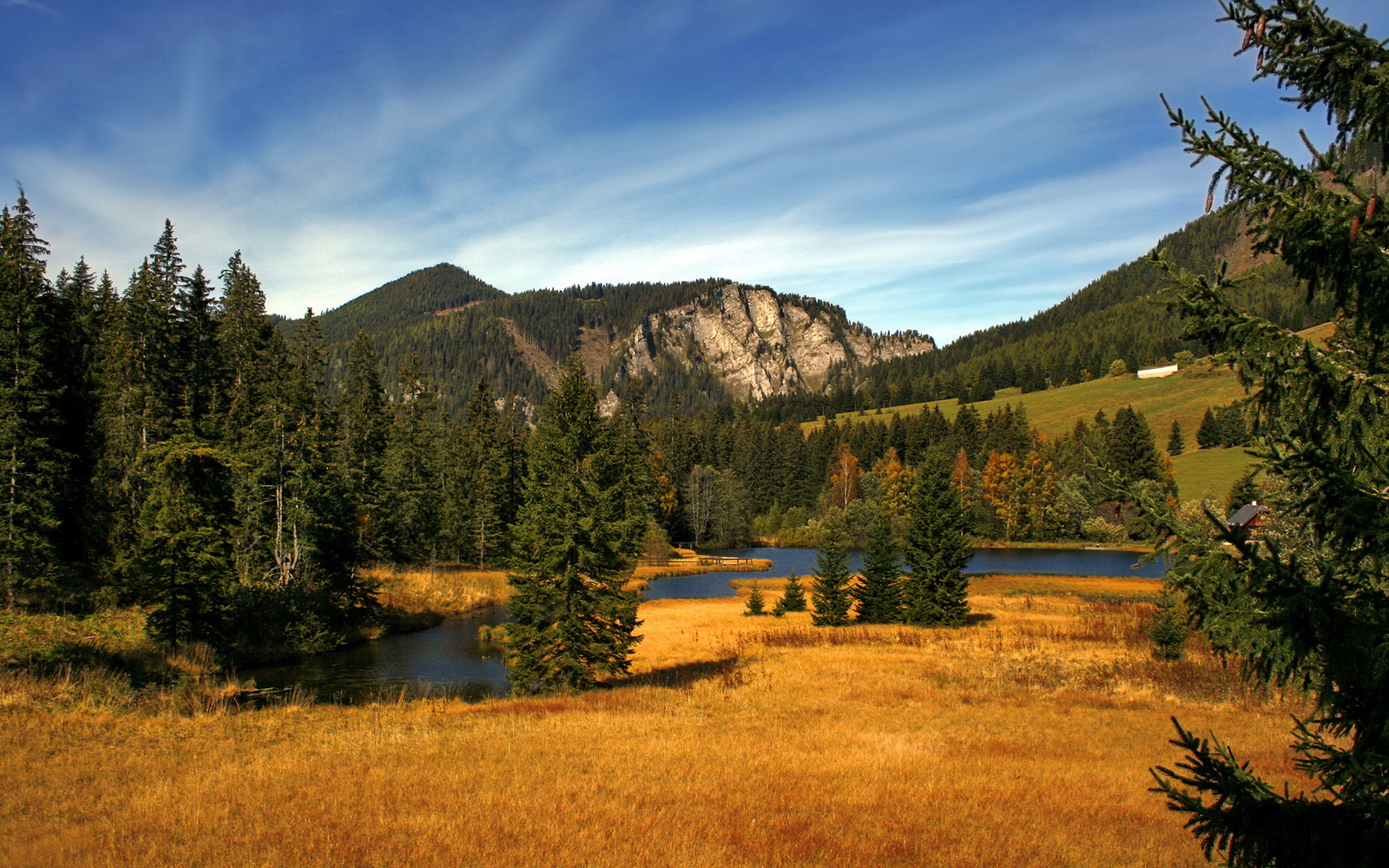 阿尔瓦雷斯，撕裂防线的幽灵，为何他让多特的囚笼战术土崩瓦解？