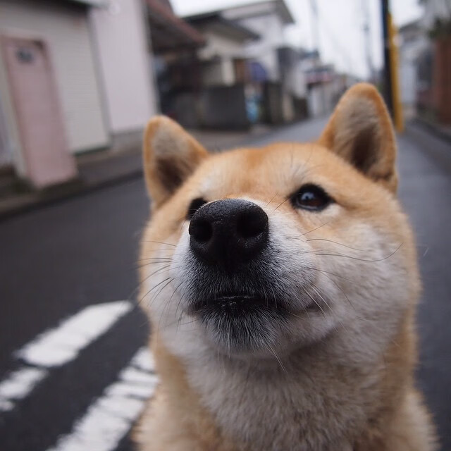 新大陆的哀歌与战歌，乌拉圭如何重塑百年南美足球叙事