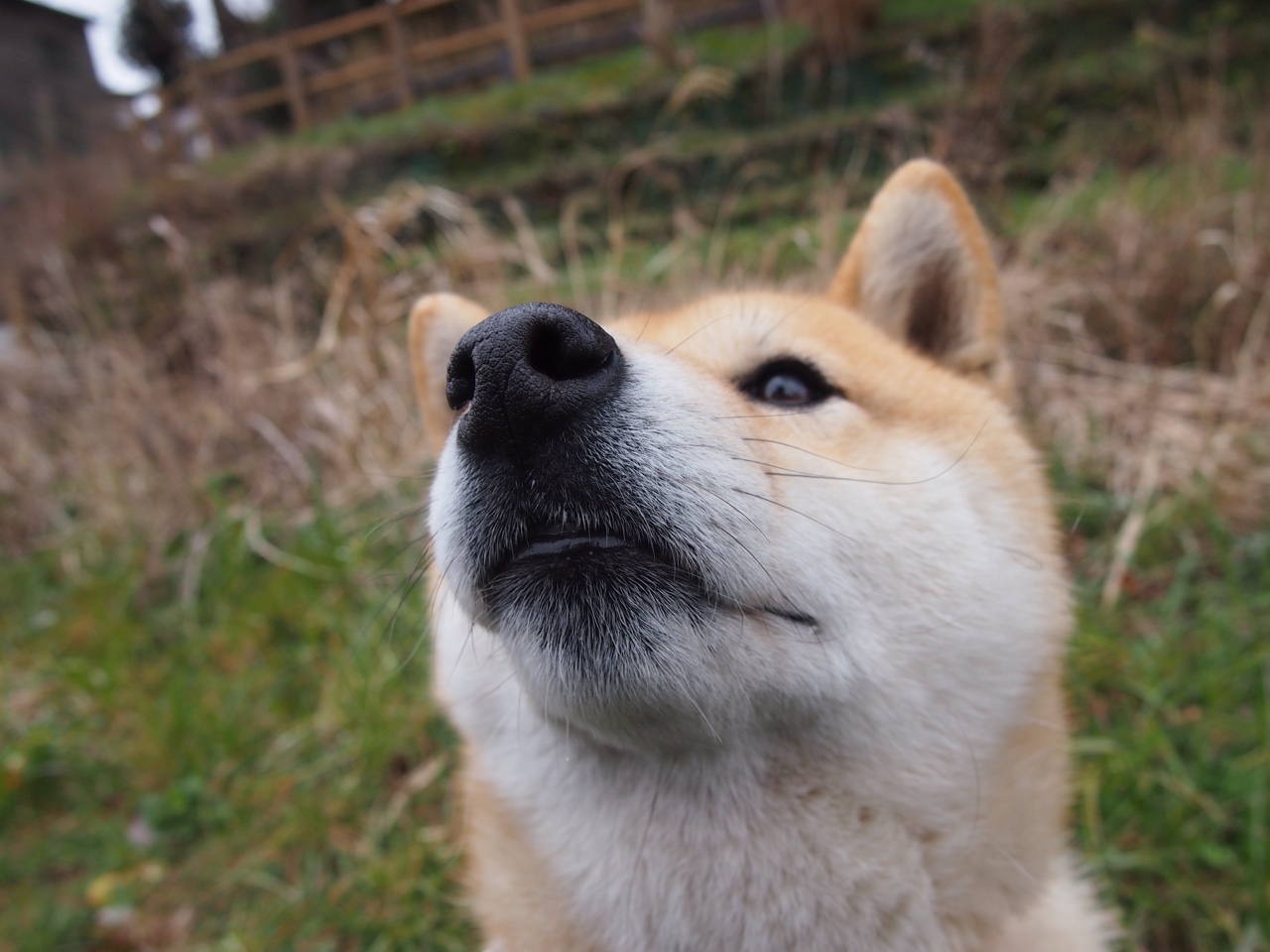 跨界英雄会!浙江队险胜鹈鹕 哈登惊天表演难挽败局