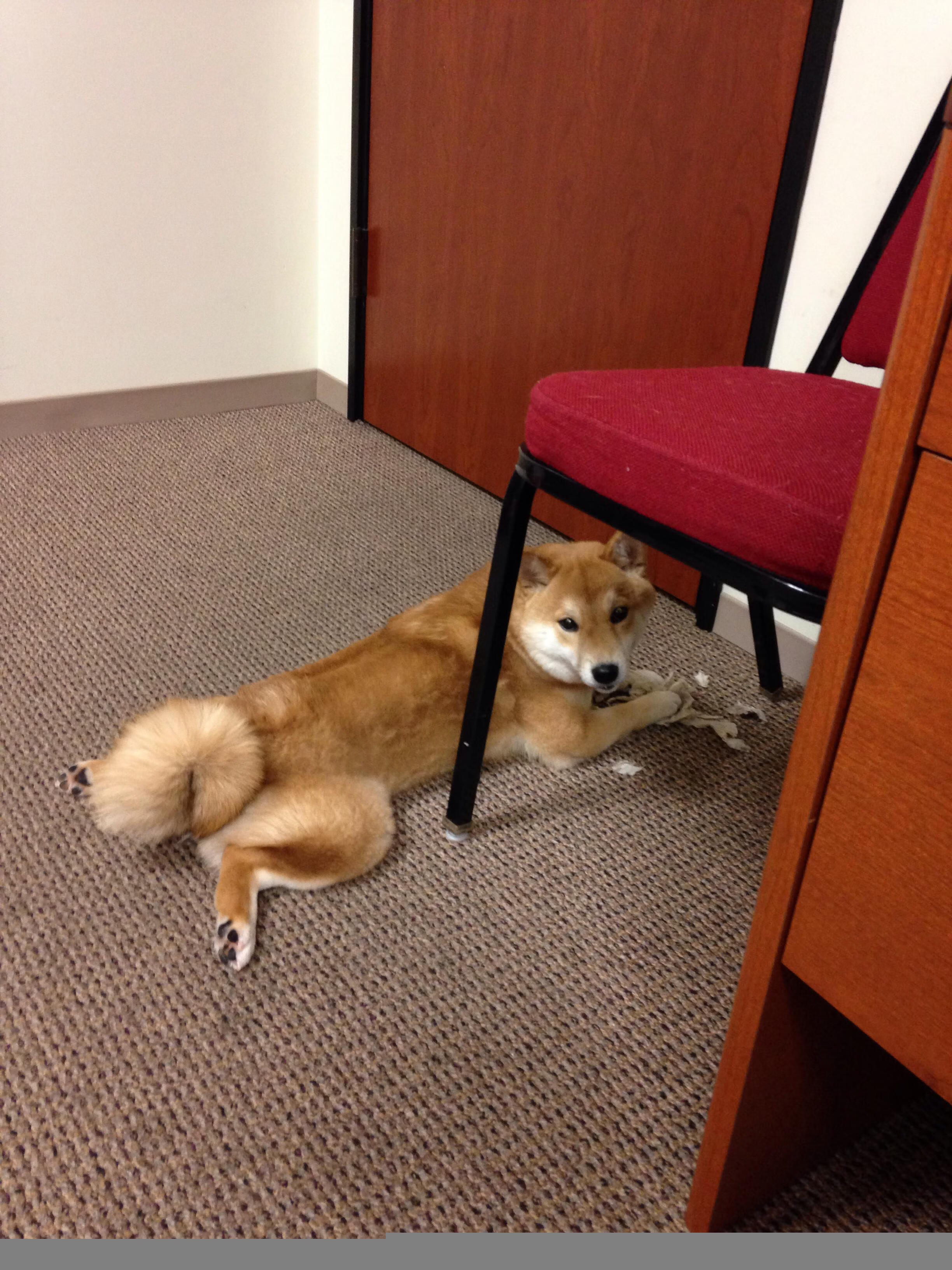 神祇降临人间！恩比德49+17+7盖帽撕碎铁壁，快船26分史诗逆转福建！