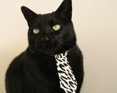 跨越疆界的激战，公牛力克广厦，保罗诠释关键先生真谛