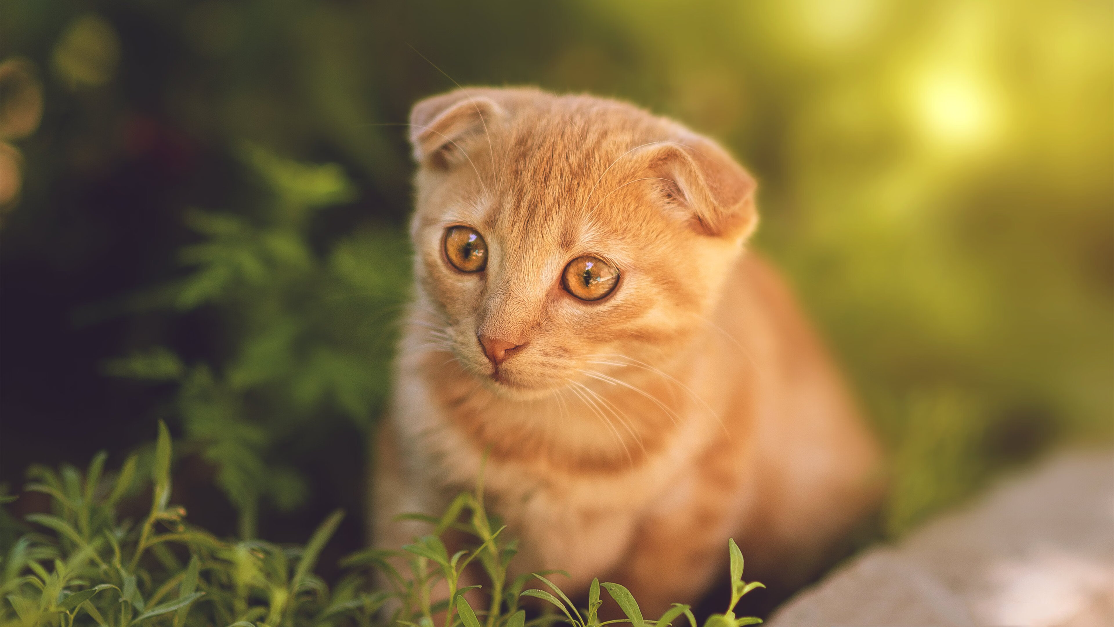 格纳布里史诗之夜，8次过人+4项全场第一，拜仁的淘汰赛救世主