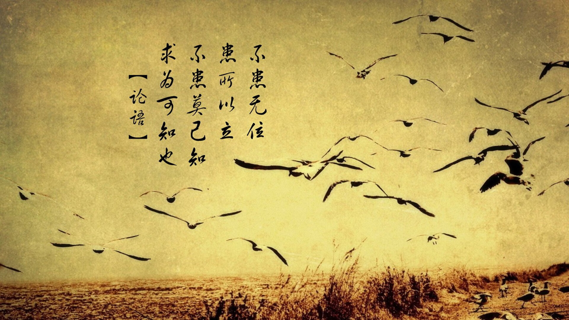 突破次元壁的对决,当山西队关公斩颜良式压制灰熊,锡安竟成关键先生