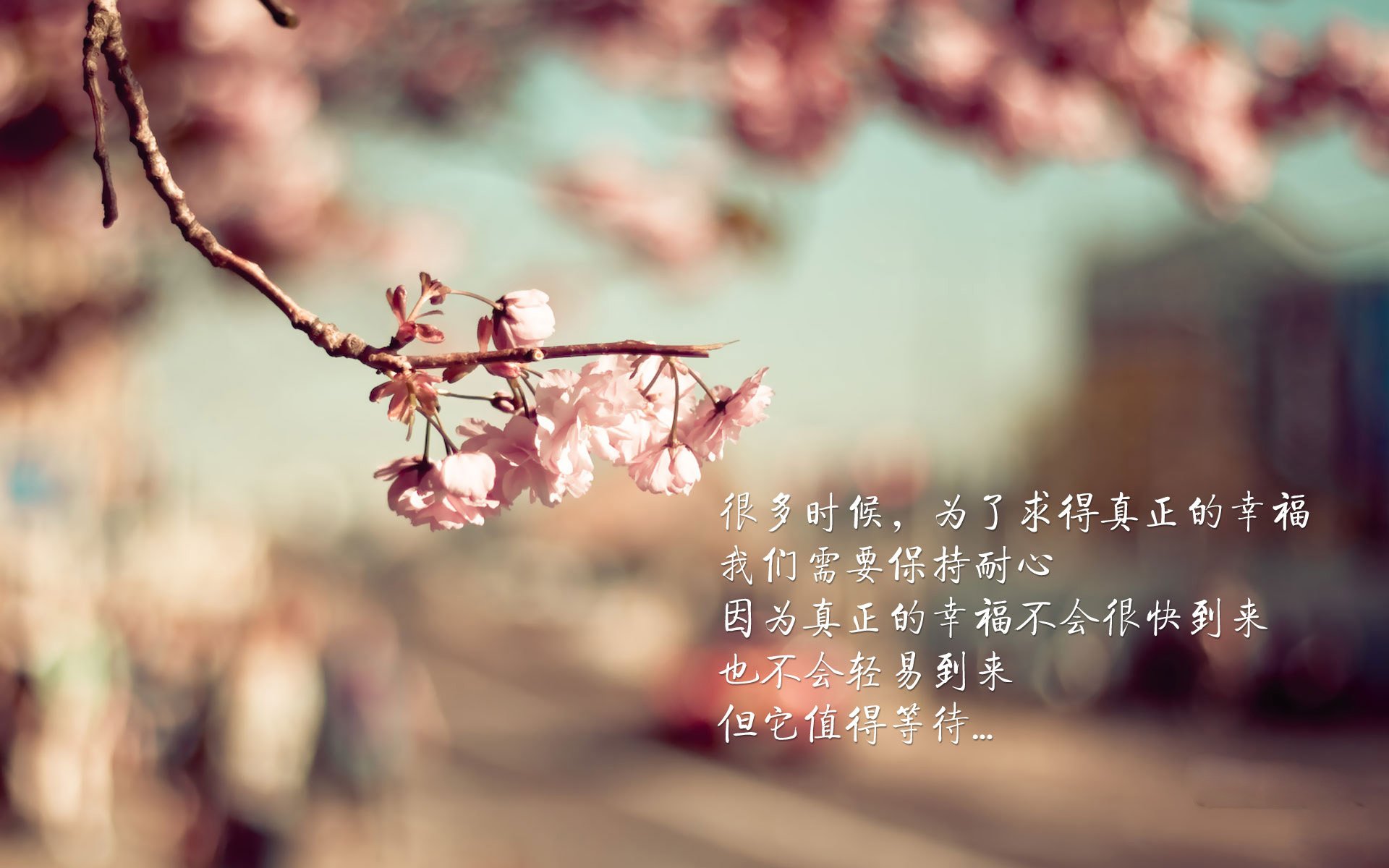 封锁与钥匙,当门迪在焦土之战中重启亚平宁