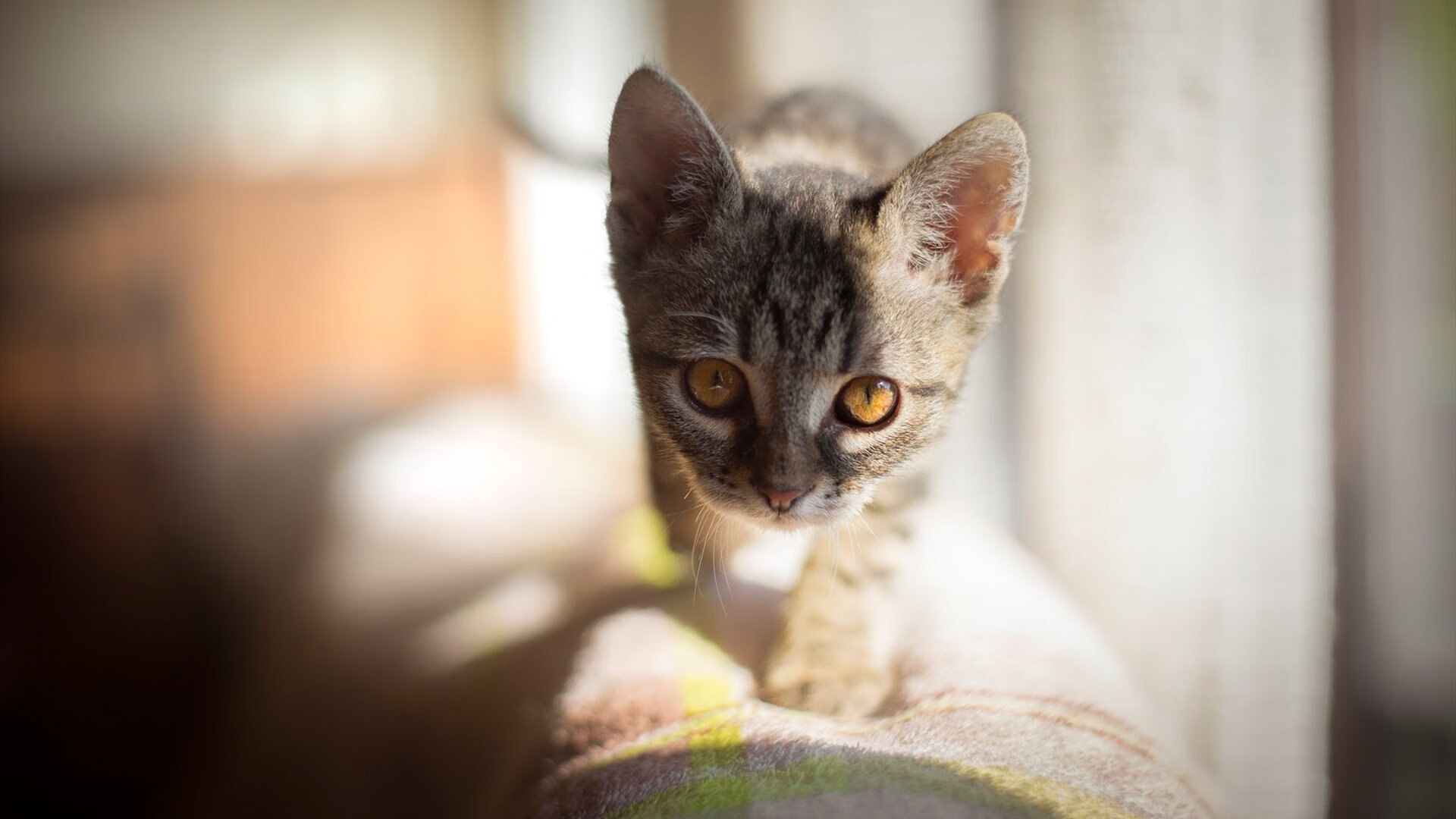 巨星的台阶，团队的断层，姆巴佩的个人爆发与巴黎的战术裂痕