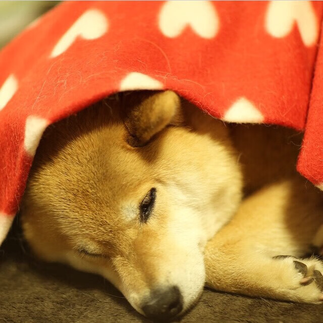 进攻篮板,当阿森纳用篮球逻辑踏平老特拉福德