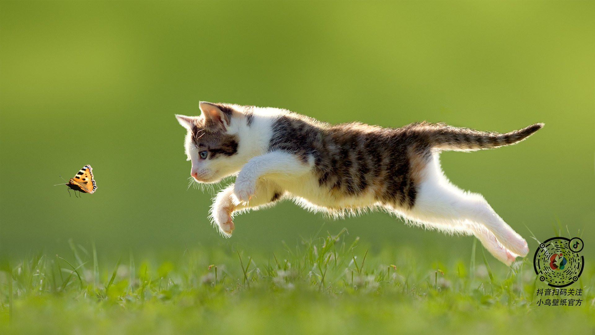 蓝军风暴对撞白鹰之翼，世界排名争夺战的战术革命