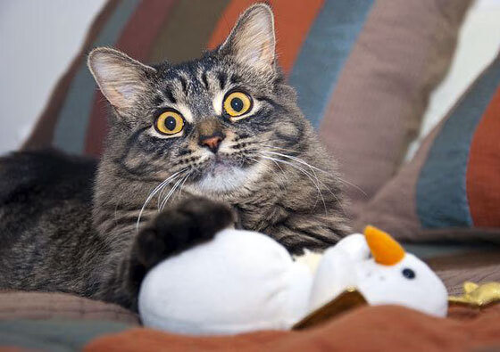 揭幕战的暗夜骑士，当孔德的不手软定义另一种胜利