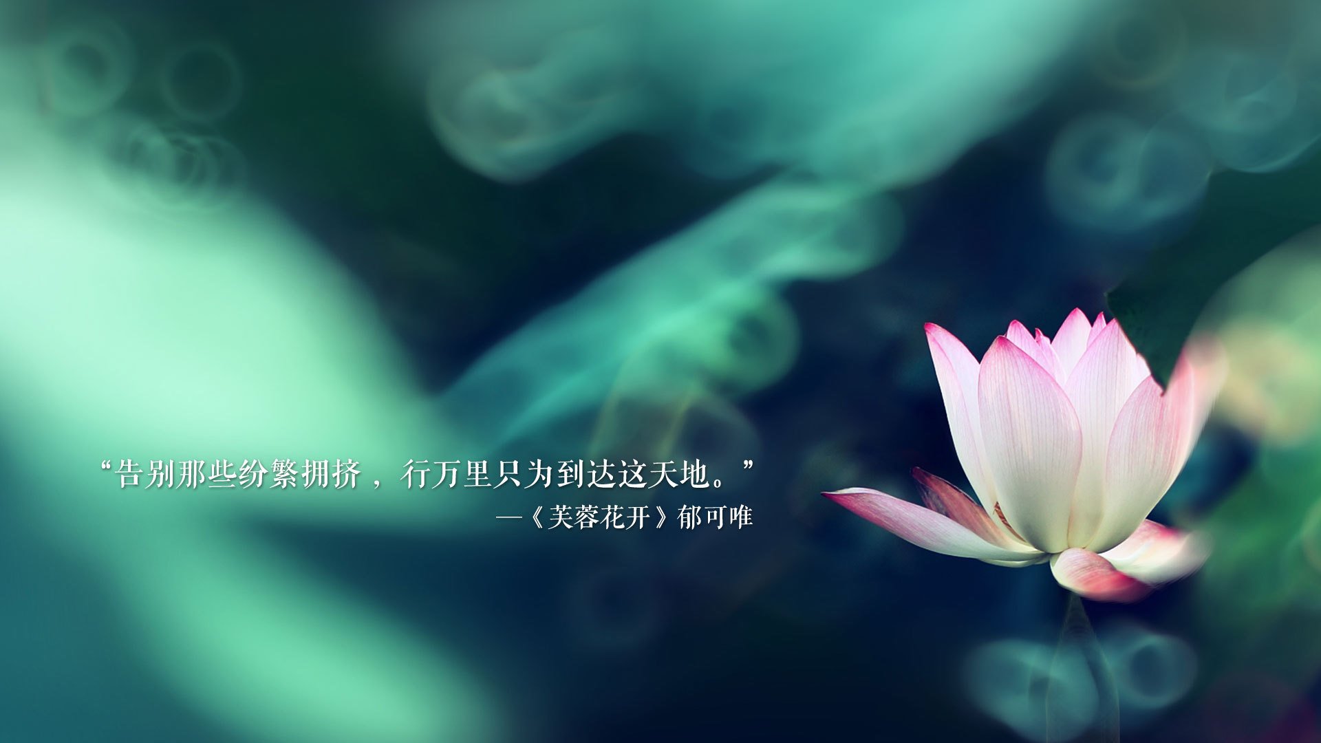 孤城铁壁,德容的节奏,罗马尼亚的防守反击,如何在2026世界杯A组焦点战中碾碎摩洛哥