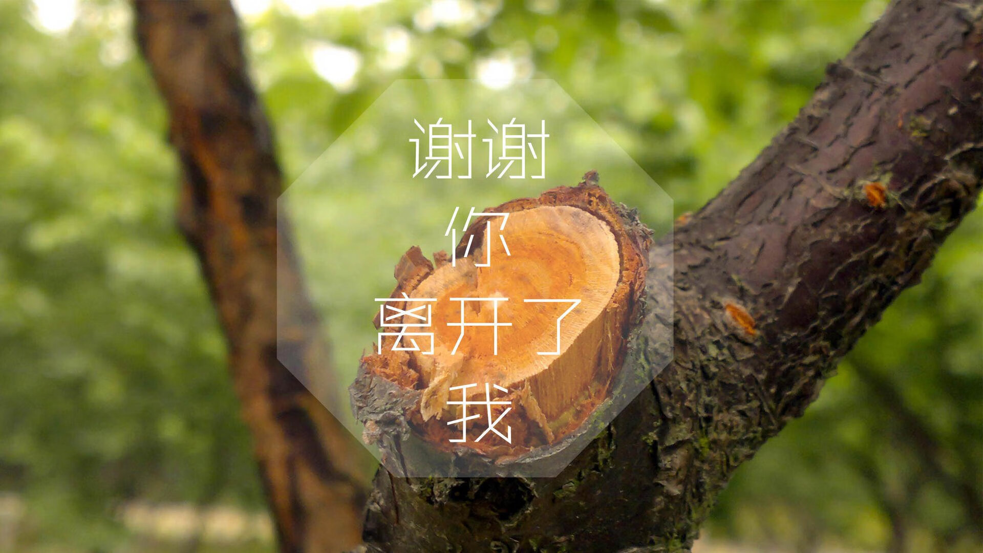 沙漠之狮啸傲东方,2026世界杯A组,摩洛哥力克印度,努涅斯一战封神