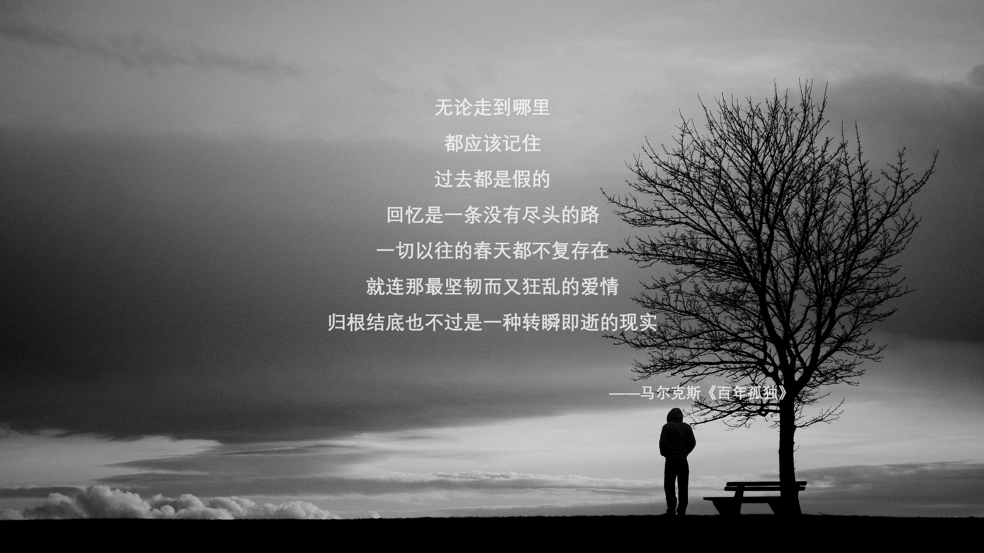孤星闪耀东南亚,2026世界杯E组,当梅西神话在波兰与泰国的对决中写下唯一注脚