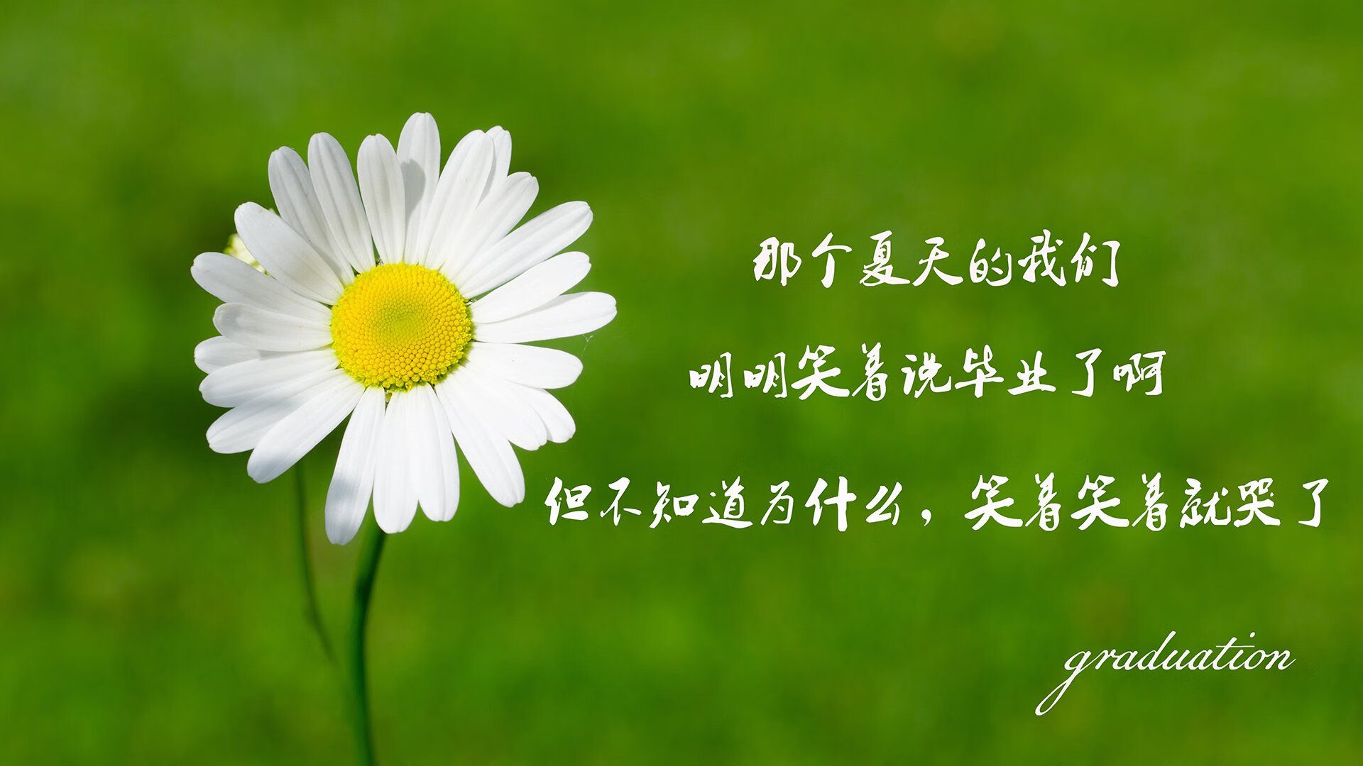 布达佩斯之夜，当德国大脑驯服东瀛风暴—京多安引领匈牙利颠覆世界杯秩序